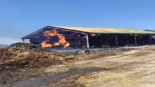 Hayvan çiftliğindeki saman yangını korkuttu