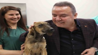 İlk 100 günde en iyi çıkış yapan Büyükşehir: Antalya oldu