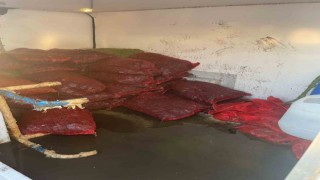 İstanbul Fatihte 1 ton kaçak midye ele geçirildi