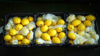 İstanbulda limonun tanesi 10 TLye dayandı, Ağustostan itibaren gerileme bekleniyor