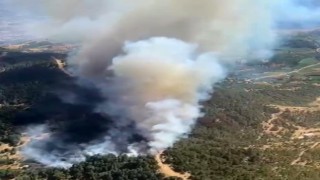 İzmir Ödemişte çıkan orman yangını kontrol altına alındı