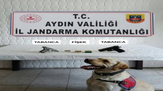 Jandarma ekipleri ruhsatsız tabanca ele geçirdi