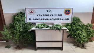 Jandarma Kayseride uyuşturucuya geçit vermiyor