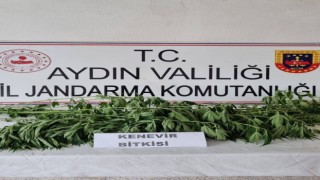 Jandarma uyuşturucuya geçit vermiyor: 5 gözaltı