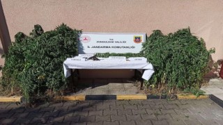Jandarmanın eş zamanlı uyuşturucu operasyonunda 3 tutuklama