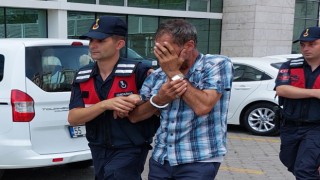 Jandarmanın sahte ehliyet operasyonda gözaltına alınanlar serbest bırakıldı