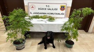 Jandarmanın uyuşturucu ile mücadelesi sürüyor