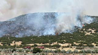 Kahramanmaraş'ın Pazarcık İlçesinde Anız Yangını Makilik Alana Sıçradı