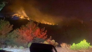 Kahramanmaraştaki orman yangını 18 saat sonra kontrol altına alındı