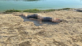 Kanalda çocuk cesedi bulundu
