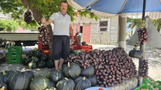 Kapıdağ mor soğanı tezgahlarda yerini aldı