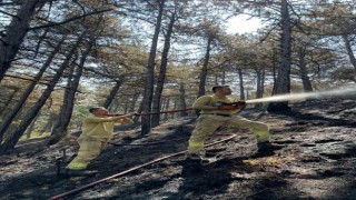 Karabükte orman yangınında 7 hektar alan zarar gördü