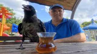 Karga, Rize çayı dışında bir şey içmiyor