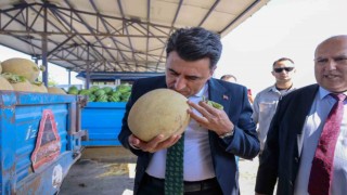 Karpuz ve kavun pazarında değerlendirmeler yapıldı