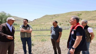 Kars hayvancılığında “Hastalıktan Ari İşletme” dönemi başlıyor