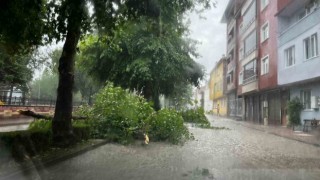 Kastamonuda kuvvetli sağanak hayatı olumsuz etkiledi