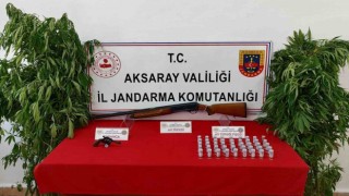 Kenevir yetiştirip uyuşturucu ticareti yapan 3 şahıs operasyonla yakalandı