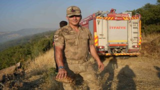 Kiliste yangın ortasında kalan kaplumbağayı jandarma kurtardı