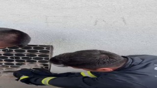 Korkuluğa sıkışan kedinin imdadına itfaiye yetişti