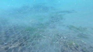 Kurtuluş Savaşında içindeki mühimmatla batırılan Rüsumat 4ün kalıntılarına ulaşıldı