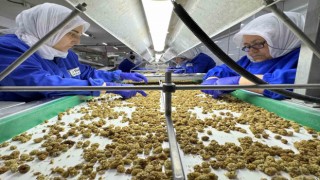 Kuru meyve ihracatı 829 milyon dolara yükseldi