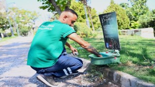 Kuşadası Belediyesi mevsim normalleri üzerinde seyrden sıcaklar nedeniyle sokak hayvanları için sulukların sayısını arttırdı