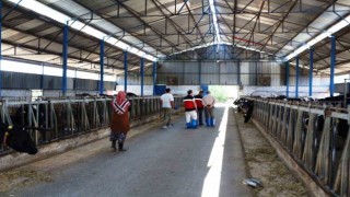Kütahyada KKYDP 15. etap projelerinin yatırım yeri kontrolleri