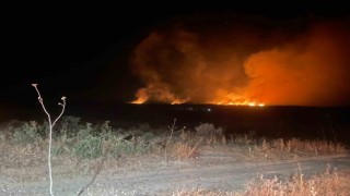 Licede gece başlayan orman yangını söndürüldü