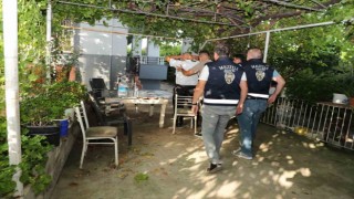 Limon bahçesinde uyuşturucu yetiştirirken yakalandı
