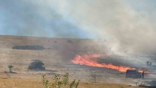 Malatyada bir hektarlık alanda anız yangını