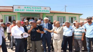 Malatyada kayısı fiyatlarında istikrar arayışı sürüyor