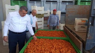 Malatyada lisanslı depolar 2 haftada yaklaşık bin 500 ton ürün alımı yaptı