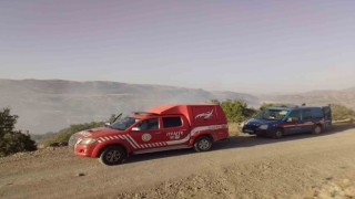 Malatyada ormanlık alanda yangın
