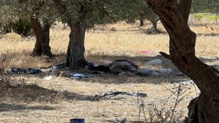 Manisada 15 yıldır zeytinlikte yaşayan şahıs ölü bulundu