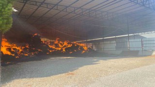 Manisada çiftlik yangını: 2 bin balya saman kül oldu