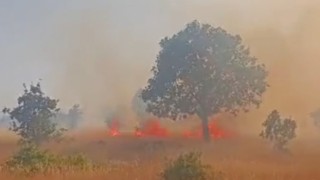 Mardin'de 5 ayrı noktada çıkan yangın devam ediyor