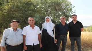 Mardinde ağabey, 15 kardeşinin arazi hakkını sahte tapu işlemleri ile aldığı iddia edildi