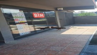 Markete giremeyen horoz camları dövdü