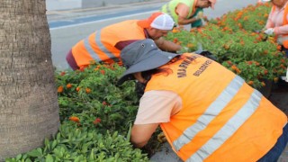 Marmariste orta refüjlerde bakım çalışması başladı