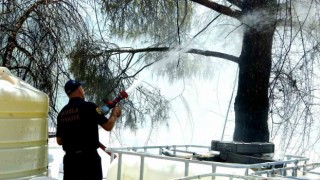 Menteşede yangın, ekiplerin zamanında müdahalesi ile söndürüldü