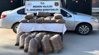 Mersinde 310 kilo kaçak tütün ele geçirildi