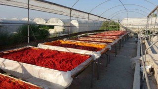 Mersinde biber salçası üretimi başladı