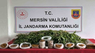 Mersinde uyuşturucu operasyonu: 1 gözaltı