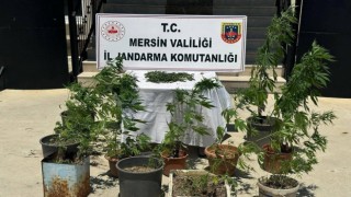 Mersinde uyuşturucu operasyonu: 2 kişi yakalandı