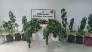 Mersinde uyuşturucu operasyonu: 6 gözaltı