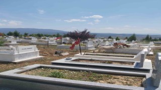Mezarlıklar küçükbaş hayvanların otlaklığı oldu