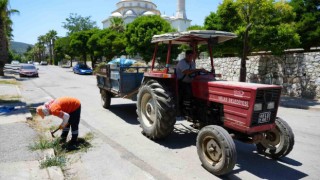 Milas Belediyesi ekipleri temizlik çalışmalarına devam ediyor