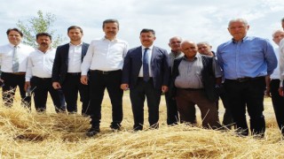 Mudanyada hasat zamanı