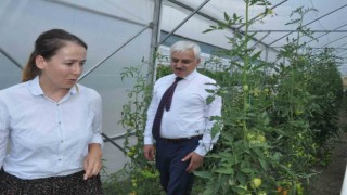 Mudurnuda istihdam için ‘Hünerli Eller Projesi