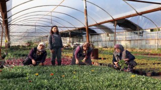 Muğla Büyükşehir Belediyesi 4 ilçede tarım market kuruyor
